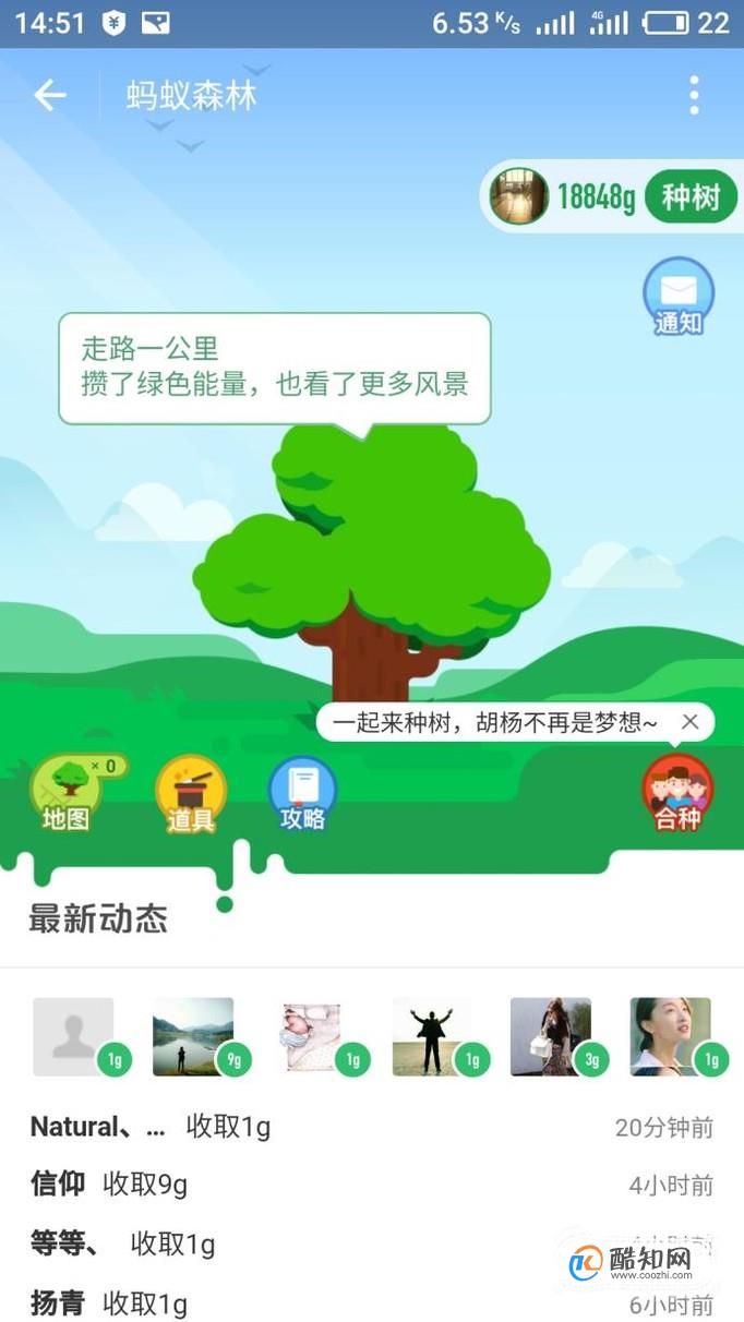 支付宝蚂蚁森林爱情树如何合种