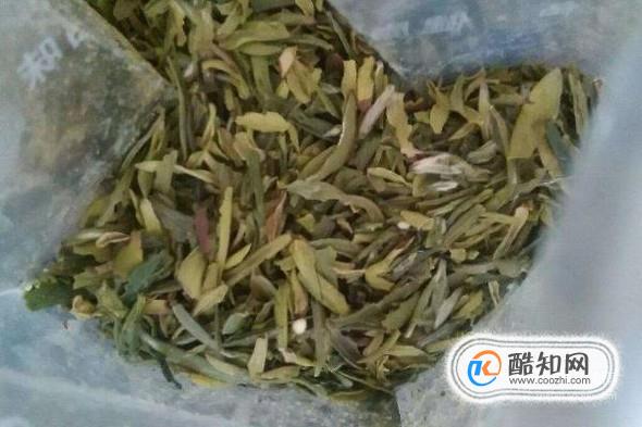 喝茶剩下的茶叶渣有什么妙用？