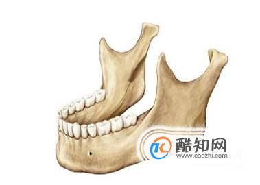 如何瘦下颌骨