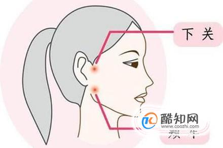 颊车穴穴位位置图及作用