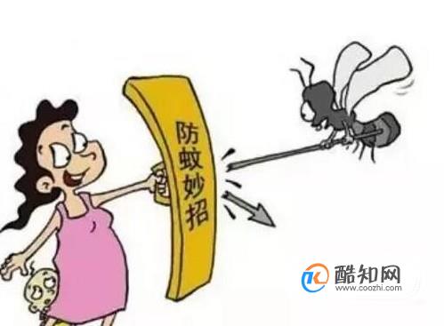 家里有蚊子怎么办？如何才能防蚊？