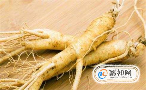 常见的人参种类
