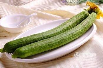 六月初有哪些时令蔬菜