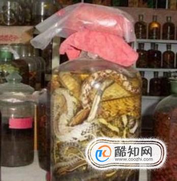 毒蛇泡酒，一般泡多久蛇才会死？