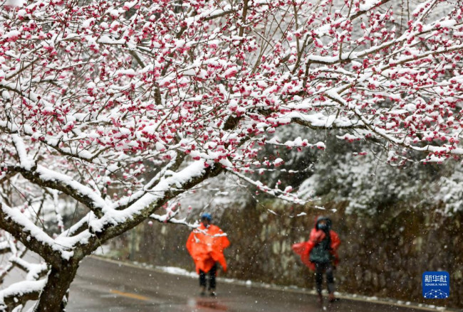 我国南方地区迎来大范围雨雪天气